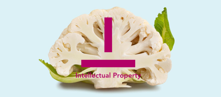 Intellectual property blog